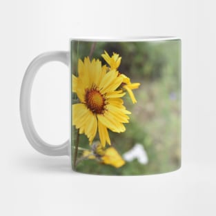 yellow flowers Mug